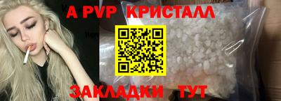 скорость Кингисепп